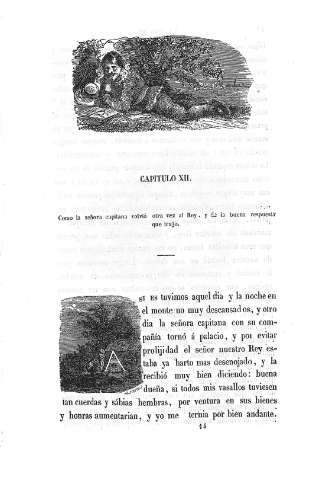 Capitulo XII. Como  la señora capitana volvió otra vez al Rey,...