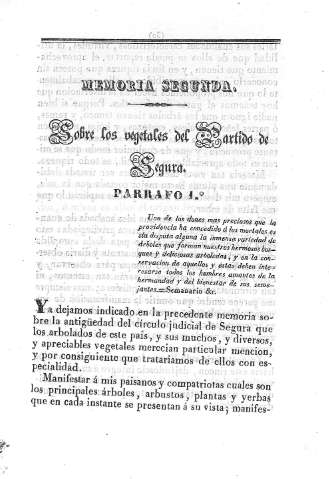 Memoria Segunda
