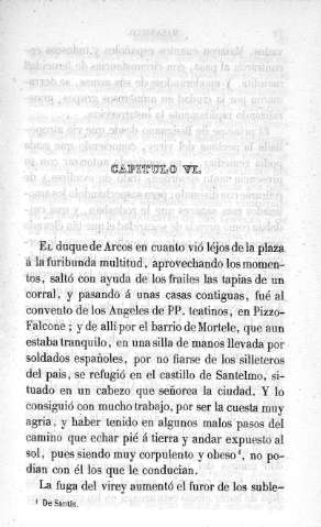 Capitulo VI.
