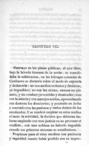 Capitulo VII.