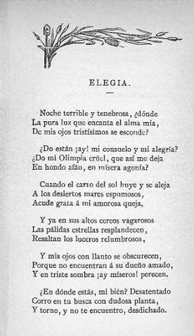 Elegía