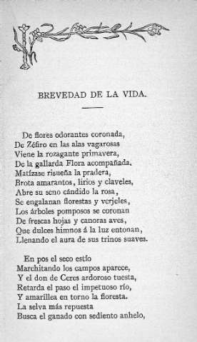 Brevedad de la vida