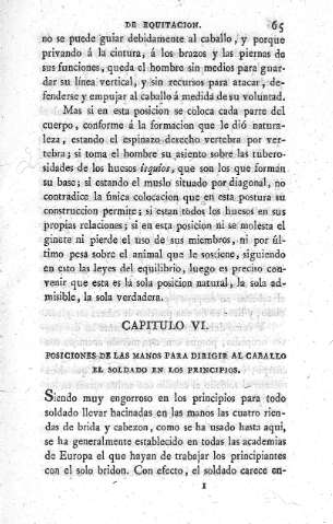 Capitulo VI.