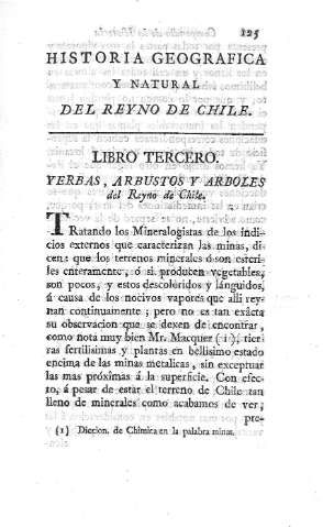 Libro Tercero