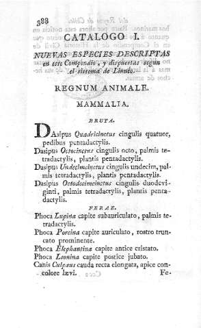 Catalogo I. Nuevas especies descritas