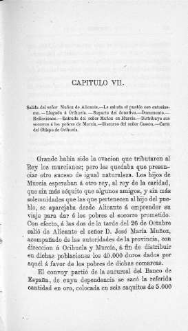 Capitulo VII.