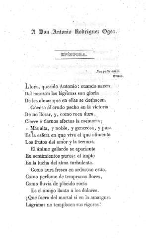 A Don Antonio Rodriguez Ogea
