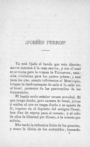 ¡Pobres perros!