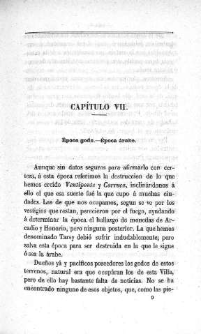 Capitulo VII.