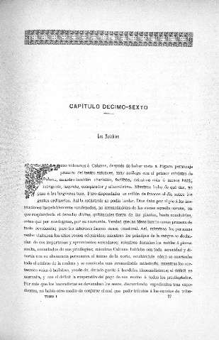 Capitulo Décimo-Sexto