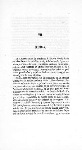 VII. Murcia