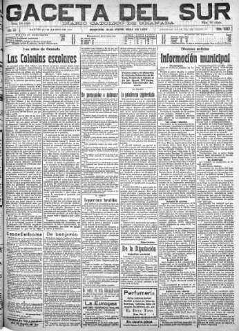 Imagen del registro