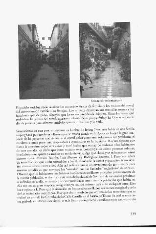 página 338