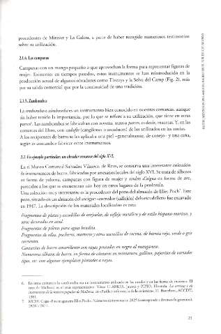 página 21