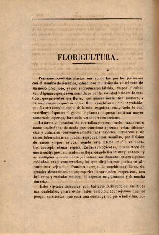 página 284