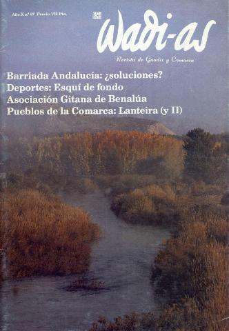 'Wadi-as  : informativo comarcal' - Año X Número 87  - 1991 noviembre 1