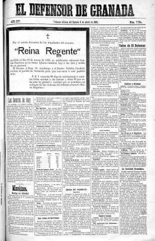 Imagen del registro