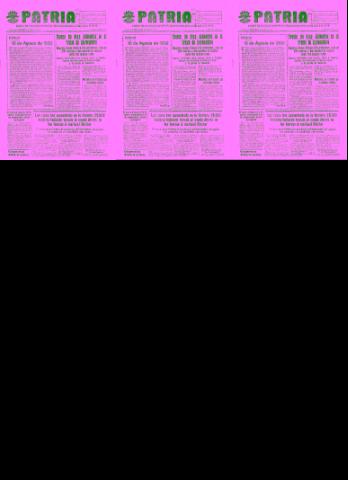 'Patria  : diario de Falange Española Tradicionalista y de las J.O.N.S.' - Año IV Número 336  - 1938 Agosto 10