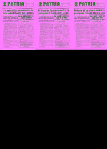 'Patria  : diario de Falange Española Tradicionalista y de las J.O.N.S.' - Año IV Número 348  - 1938 Agosto 24
