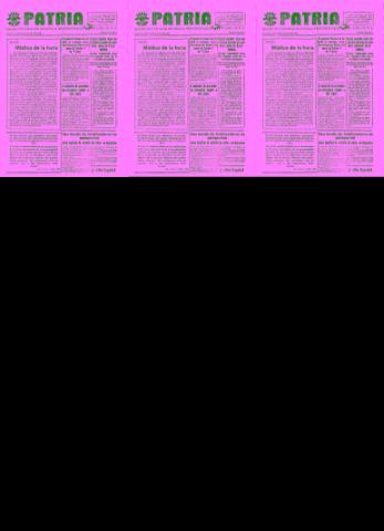 'Patria  : diario de Falange Española Tradicionalista y de las J.O.N.S.' - Año IV Número 354  - 1938 Agosto 31