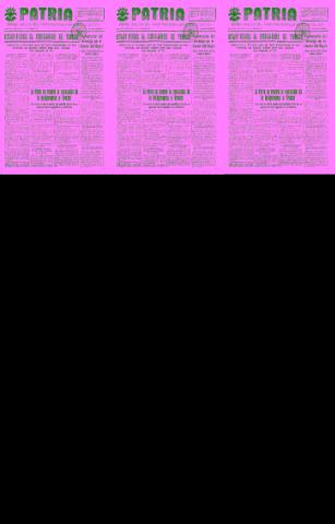 'Patria  : diario de Falange Española Tradicionalista y de las J.O.N.S.' - Año IV Número 425  - 1938 Noviembre 23