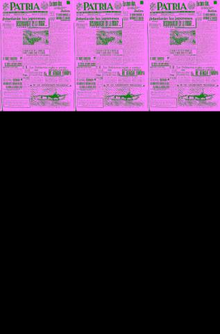 Imagen del registro