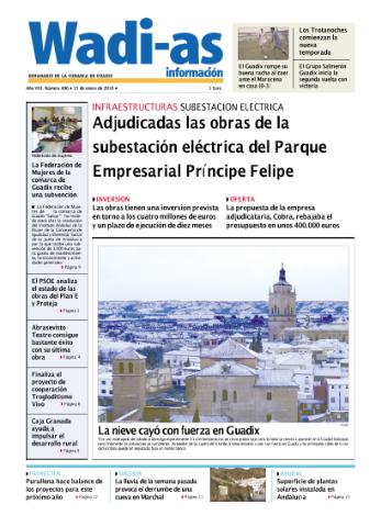 'Wadi-as información : periódico semanal de la comarca de Guadix.' - Año VII Número 406 - 2010 enero 15