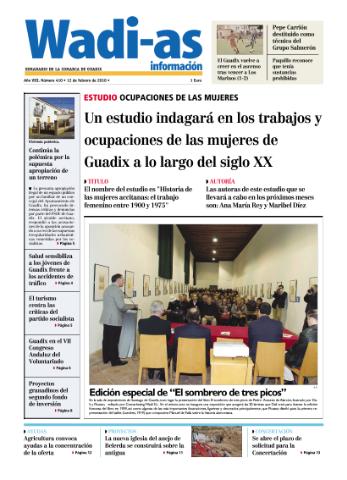 'Wadi-as información : periódico semanal de la comarca de Guadix.' - Año VII Número 410 - 2010 febrero 12