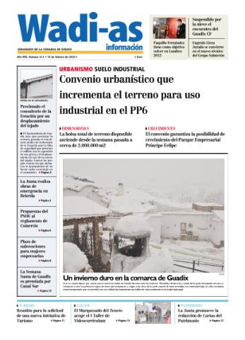 'Wadi-as información : periódico semanal de la comarca de Guadix.' - Año VII Número 411 - 2010 febrero 19