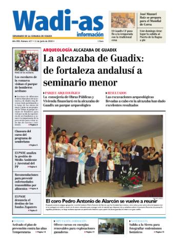 'Wadi-as información : periódico semanal de la comarca de Guadix.' - Año VIII Número 427 - 2010 junio 11