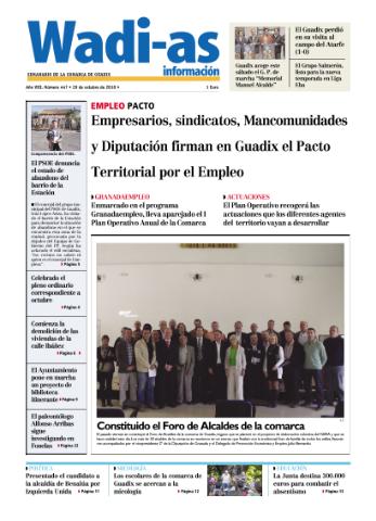 'Wadi-as información : periódico semanal de la comarca de Guadix.' - Año VIII Número 447 - 2010 octubre 29