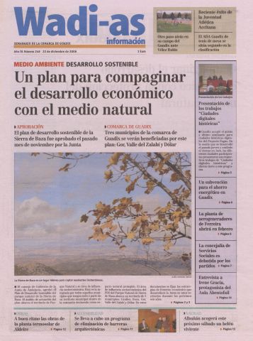 'Wadi-as información : periódico semanal de la comarca de Guadix.' - Año III Número 246 - 2006 diciembre 22