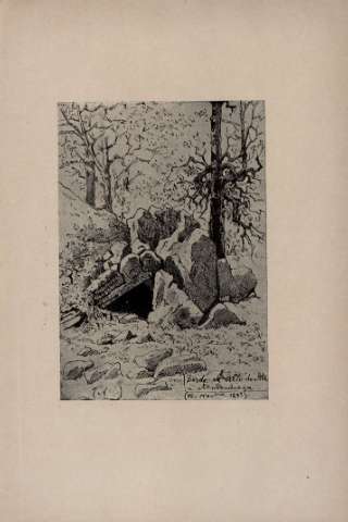 53