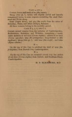 gb_l18